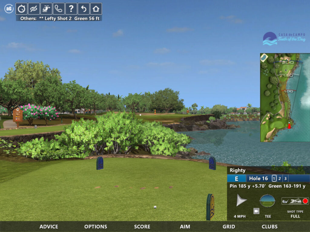 Enhancing the Golfing Experience: Improving the In-Game User Interface for Right and Left-Handed Golfers